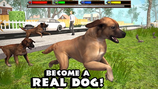 Games Like Ultimate Dog Simulator