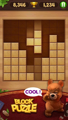 Wood Block Puzzle is like Block Puzzle Jewel