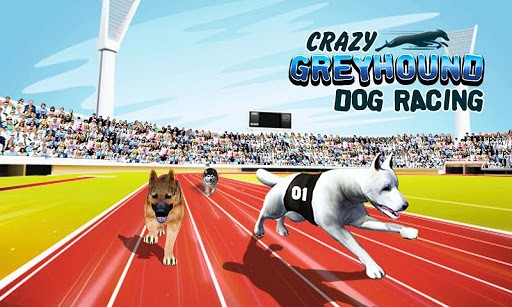 Crazy Greyhound Dog Racing game