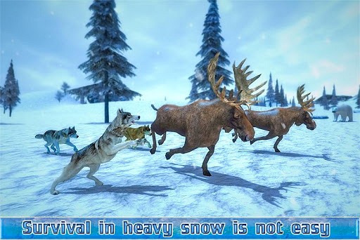 Arctic Wolf Sim 3D game like Motorsport Manager Mobile 2