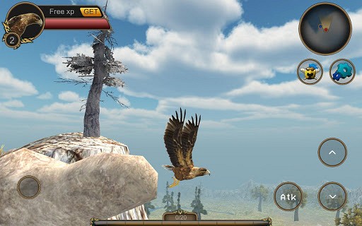 Eagle Bird Game
